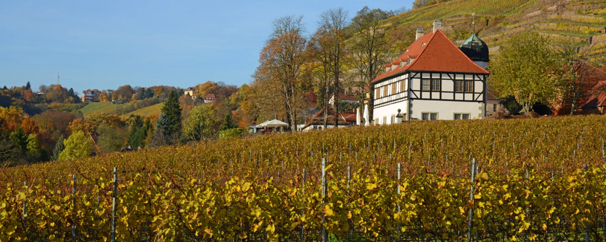 Weingutmuseum Hofl&ouml;ssnitz in Radebeul