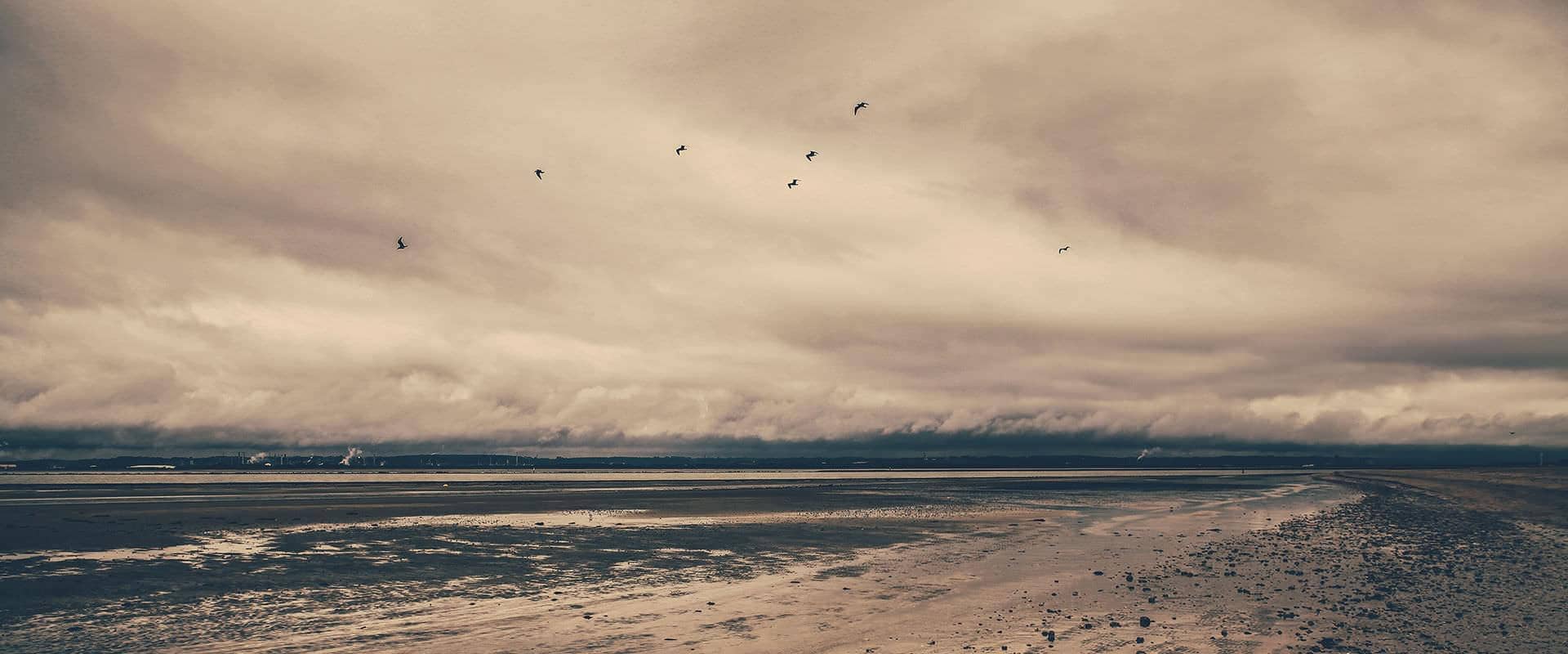 Dampfbahn-Route Sachsen