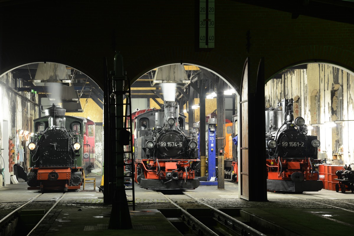 Döllnitzbahn Lokschuppen Mügeln © Christian Sacher