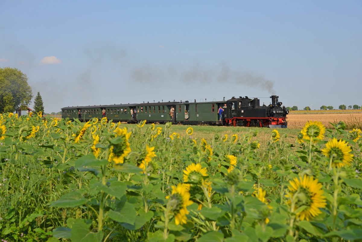 Dampfzug der Döllnitzbahn bei Schweta © CHRISTIAN SACHER