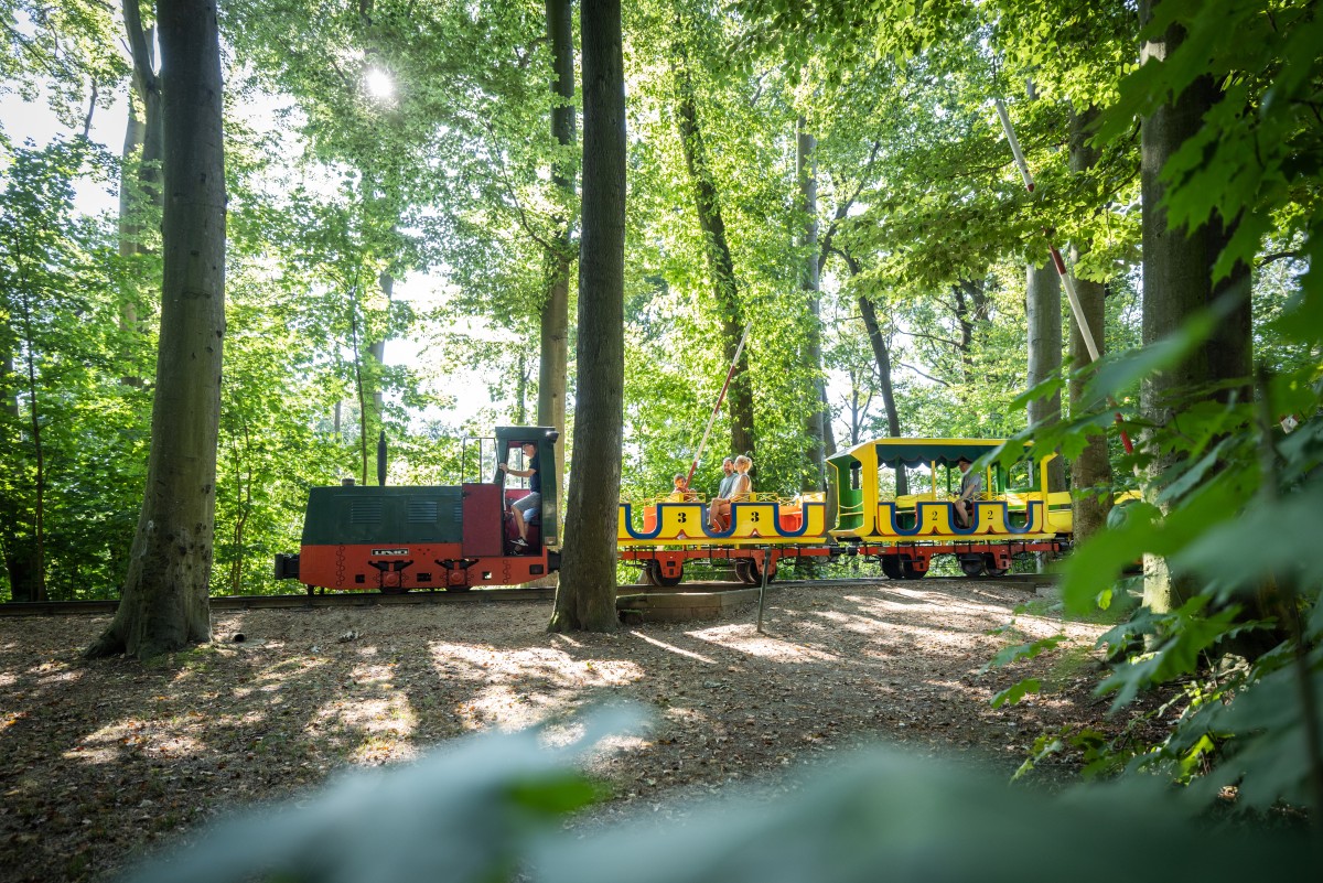 Görlitzer Oldtimer Parkeisenbahn  © Philipp Herfort Photography
