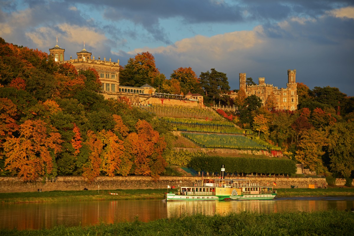 Dampfschiff Pillnitz vor den Dresdner Elbschlössern © Christian Sacher
