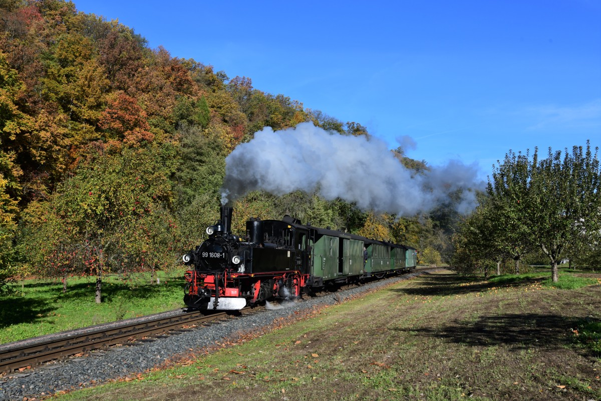 Dampfzug der Weißeritztalbahn bei Dippoldiswalde. © Christian Sacher / Dresden